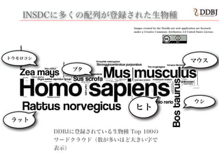 INSDCに多くの配列が登録された生物種
DDBJに登録されている生物種 Top 100の
ワードクラウド（数が多いほど大きい字で
表示）
Images created by the Wordle.net web application are licensed
under a Creative Commons Attribution 3.0 United States License.
ヒト
トウモロコシ
マウス
ラット
ブタ
ウシ
 