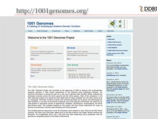 http://1001genomes.org/
 