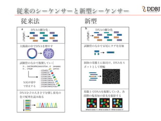 従来のシーケンサーと新型シーケンサー
従来法 新型
DNAの細分化 DNAの細分化
試験管のなかで末尾にタグを付加大腸菌の中でDNAを増やす
固体の基盤上に貼付け、DNAをス
ポットとして増幅
試験管のなかで複製していく
DNA分子の大きさで分別し蛍光の
色で配列を読み取る
基盤上でDNAを複製していき、各
段階の塩基毎の蛍光を撮影する
反応が途中
で停止する
 