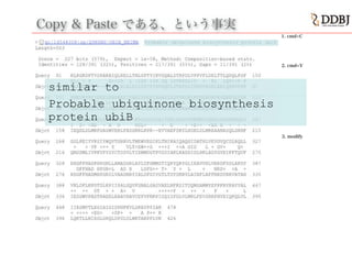 Copy & Paste である、という事実
1. cmd+C
Probable ubiquinone biosynthesis
protein ubiB
2. cmd+V
3. modify
similar to
 