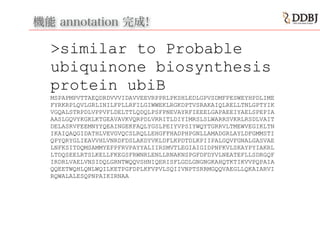 機能 annotation 完成!
>similar to Probable
ubiquinone biosynthesis
protein ubiB
MSPAPMPVTTAEQDRDVVVIDAVVEEVRPPRLPKSHLEDLGPVSDMFPESWEYHPDLIME
FYRKRPLQVLGRLINILFPLLRFILGIWWEKLRGKDPTVSRAKAIQLRELLTNLGPTYIK
VGQALSTRPDLVPPVFLDELTTLQDQLPSFPNEVAYRFIEEELGAPAEEIYAELSPEPIA
AASLGQVYKGKLKTGEAVAVKVQRPDLVRRITLDIYIMRSLSLWARRSVKRLRSDLVAIT
DELASRVFEEMNYYQEAINGEKFAQLYGSLPEIYVPSIYWQYTGRRVLTMEWVEGIKLTN
IKAIQAQGIDATHLVEVGVQCSLRQLLEHGFFHADPHPGNLLAMADGRLAYLDFGMMSTI
QPYQRYGLIEAVVHLVNRDFDSLAKDYVKLDFLKPDTDLKPIIPALGQVFGNALGASVAE
LNFKSITDQMSAMMYEFPFRVPAYYALIIRSMVTLEGIAIGIDPNFKVLSKAYPYIAKRL
LTDQSEELRTSLKELLFKEGSFRWNRLENLLRNAKNSPGFDFDYVLNEATEFLLSDRGQF
IRDRLVAELVNSIDQLGRNTWQQVSHNIQERISFLGDLGNGNGKAHQTKTIKVVPQPAIA
QQEETWQHLQNLWQILKETPGFDPLKFVPVLSQIIVNPTSRRMGQQVAEGLLQKAIARVI
RQWALALESQPNPAIKIRNAA
!
!
 