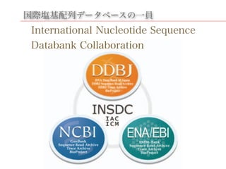 国際塩基配列データベースの一員
International Nucleotide Sequence
Databank CollaborationDatabank Collaboration
 