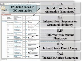 IDA!
Inferred from Direct Assay
TAS!
Traceable Author Statement
ISS!
Inferred from Sequence or
Structural similarity
Evidence codes in
GO Annotation
IEA!
Inferred from Electronic
Annotation (automated)
IMP!
Inferred from Mutant
Phenotype
 