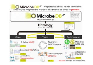 integrates	
  lots	
  of	
  data	
  related	
  to	
  microbes.	
Especially,	
  we	
  integrates	
  the	
  microbial	
  data	
  that	
  can	
  be	
  linked	
  to	
  genomes.	
Ortholog:	
  MBGD	
Genome:	
  GTPS/RefSeq	
Annota:on:	
  	
  
TogoAnnota:on	
Culture	
  Collec:on:	
  
NBRC/JCM	
Metadata:	
  	
  
INSDC	
  SRA	
  
Metagenome:	
  	
  
INSDC	
  SRA	
  
Taxonomy:	
  	
  
NCBI	
  Taxonomy	
  
hYp://microbedb.jp/	
	
  	
  	
  	
  	
  	
  	
  	
  	
  Gene	
 	
  	
  	
  	
  	
  	
  	
  	
  	
  Taxon	
  	
  	
  	
  	
  	
 	
  	
  	
  Environment	
Red	
  color	
  indicates	
  our	
  collaborators.	
6	
 