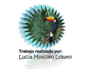 Trabajo realizado por:
Lucía Moscoso Lobato
 