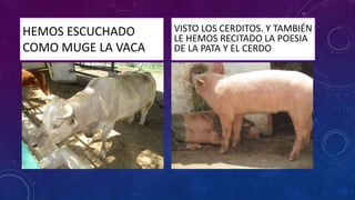 HEMOS ESCUCHADO
COMO MUGE LA VACA
VISTO LOS CERDITOS. Y TAMBIÉN
LE HEMOS RECITADO LA POESIA
DE LA PATA Y EL CERDO
 