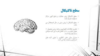 معماری سازمانی