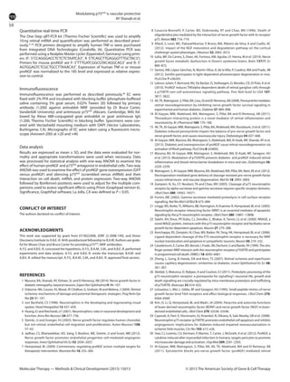 10
Modulating p75NTR
is vascular protective
AY Shanab et al.
Molecular Therapy — Methods & Clinical Development (2015) 15013 © 2015 The American Society of Gene & Cell Therapy
Quantitative real-time PCR
The One-Step qRT-PCR kit (Thermo Fischer Scientific) was used to amplify
10 ng retinal mRNA and quantification was performed as described previ-
ously.31,45
PCR primers designed to amplify human TNF-α were purchased
from Integrated DNA Technologies (Coralville, IA). Quantitative PCR was
performed using a Realplex Master cycler (Eppendorf, Germany) using prim-
ers (F: 5′CCAGGGACCTCTCTCTAATCA3′; R 5′TCAGCTTGAGGGTTTGCTAC3′).
Primers for mouse proNGF are F: 5′TTTGATCGGCGTACAGGCAG3′ and R: 5′
AGTGGAGTCTCGCTGCCTTAAACA3′. Expression of human TNF-α or mouse
proNGF was normalized to the 18S level and expressed as relative expres-
sion to control.
Immunofluorescence
Immunofluorescence was performed as described previously.48
EC were
fixed with 2% PFA and incubated with blocking buffer (phosphate-buffered
saline containing 5% goat serum, 0.02% Tween 20) followed by primary
antibody (1:200) against antirabbit NRIF (provided by Dr Bruce Carter,
Vanderbilt University) and antimouse p75NTR
(Abcam, Cambridge, MA) fol-
lowed by Alexa 488-conjugated goat antirabbit or goat antimouse IgG
(1:200, Thermo Fischer Scientific) in blocking buffer. Specimens were cov-
ered with Vectashield mounting medium with DAPI (Vector Laboratories,
Burlingame, CA). Micrographs of EC were taken using a fluorescent micro-
scope (Axiovert-200) at ×20 and ×40.
Data analysis
Results are expressed as mean ± SD, and the data were evaluated for nor-
mality and appropriate transformations were used when necessary. Data
was processed for statistical analysis with one-way ANOVA to examine the
effect of human-proNGF and p75NTR
antagonist in endothelial cells.Two-way
ANOVA was used to examine the effect of proNGF gene overexpression (GFP
versus proNGF) and silencing p75NTR
(scrambled versus shRNA) and their
interaction on cell death, mRNA, and protein expression. Two-way ANOVA
followed by Bonferroni posttests were used to adjust for the multiple com-
parisons used to assess significant effects using Prism (Graphpad version 6).
Significance, GraphPad software, La Jolla, CA was defined as P < 0.05.
CONFLICT OF INTEREST
The authors declared no conflict of interest.
ACKNOWLEDGMENTS
This work was supported by grant from EY-0022408, JDRF (2-2008-149), and Vision
Discovery Institute to A.B.E.-R. AHA-postdoctoral fellowship to B.A.M. Authors are grate-
ful for Moses Chao and Bruce Carter for providing p75NTR
, NRIF antibodies.
A.Y.S. and A.B.E.-R. conceived the hypothesis. A.Y.S., B.A.M., S.M., and A.B.E.-R. performed
experiments and data analysis. A.Y.S. and A.B.E.-R. wrote the manuscript. B.A.M. and
A.B.E.-R. edited the manuscript. A.Y.S., B.A.M., S.M., and A.B.E.-R. approved final version.
References
	 1	 Mysona, BA, Shanab, AY, Elshaer, SL and El-Remessy, AB (2014). Nerve growth factor in
diabetic retinopathy: beyond neurons. ExpertRevOphthalmol 9: 99–107.
	 2	 Osborne, NN, Casson, RJ,Wood, JP, Chidlow, G, Graham, M and Melena, J (2004). Retinal
ischemia: mechanisms of damage and potential therapeutic strategies. Prog Retin Eye
Res 23: 91–147.
	 3	 von Bartheld, CS (1998). Neurotrophins in the developing and regenerating visual
system. HistolHistopathol 13: 437–459.
	 4	 Huang, EJ and Reichardt, LF (2001). Neurotrophins: roles in neuronal development and
function. AnnuRevNeurosci 24: 677–736.
	 5	 Steinle, JJ and Granger, HJ (2003). Nerve growth factor regulates human choroidal,
but not retinal, endothelial cell migration and proliferation. Auton Neurosci 108:
57–62.
	 6	 Jadhao, CS, Bhatwadekar, AD, Jiang, Y, Boulton, ME, Steinle, JJ and Grant, MB (2012).
Nerve growth factor promotes endothelial progenitor cell-mediated angiogenic
responses. InvestOphthalmolVisSci 53: 2030–2037.
	 7	 Hempstead, BL (2009). Commentary: regulating proNGF action: multiple targets for
therapeutic intervention. NeurotoxRes 16: 255–260.
	 8	 Casaccia-Bonnefil, P, Carter, BD, Dobrowsky, RT and Chao, MV (1996). Death of
oligodendrocytes mediated by the interaction of nerve growth factor with its receptor
p75. Nature 383: 716–719.
	 9	 Allard, S, Leon, WC, Pakavathkumar, P, Bruno, MA, Ribeiro-da-Silva, A and Cuello, AC
(2012). Impact of the NGF maturation and degradation pathway on the cortical
cholinergic system phenotype. J Neurosci 32: 2002–2012.
	10	 Iulita, MF, Do Carmo, S, Ower, AK, Fortress, AM, Aguilar, LF, Hanna, M et al. (2014). Nerve
growth factor metabolic dysfunction in Down’s syndrome brains. Brain 137(Pt 3):
860–872.
	11	 Santos, AM, López-Sánchez, N, Martín-Oliva, D, de la Villa, P, Cuadros, MA and Frade, JM
(2012). Sortilin participates in light-dependent photoreceptor degeneration in vivo.
PLoSOne 7: e36243.
	12	 Lebrun-Julien, F, Bertrand, MJ, De Backer, O, Stellwagen, D, Morales, CR, Di Polo, A et al.
(2010). ProNGF induces TNFalpha-dependent death of retinal ganglion cells through
a p75NTR non-cell-autonomous signaling pathway. Proc Natl Acad Sci USA 107:
3817–3822.
	13	 Ali, TK,Matragoon, S,Pillai, BA,Liou, GIandEl-Remessy, AB(2008).Peroxynitritemediates
retinal neurodegeneration by inhibiting nerve growth factor survival signaling in
experimental and human diabetes. Diabetes 57: 889–898.
	14	 Al-Gayyar, MM, Abdelsaid, MA, Matragoon, S, Pillai, BA and El-Remessy, AB (2011).
Thioredoxin interacting protein is a novel mediator of retinal inflammation and
neurotoxicity. Br JPharmacol 164: 170–180.
	15	 Ali, TK, Al-Gayyar, MM, Matragoon, S, Pillai, BA, Abdelsaid, MA, Nussbaum, JJ et al. (2011).
Diabetes-induced peroxynitrite impairs the balance of pro-nerve growth factor and
nerve growth factor, and causes neurovascular injury. Diabetologia 54: 657–668.
	16	 Al-Gayyar, MM, Mysona, BA, Matragoon, S, Abdelsaid, MA, El-Azab, MF, Shanab, AY et al.
(2013). Diabetes and overexpression of proNGF cause retinal neurodegeneration via
activation of RhoA pathway. PLoSOne 8: e54692.
	17	 Mysona, BA, Al-Gayyar, MM, Matragoon, S, Abdelsaid, MA, El-Azab, MF, Saragovi, HU
et al. (2013). Modulation of p75(NTR) prevents diabetes- and proNGF-induced retinal
inflammation and blood-retina barrier breakdown in mice and rats. Diabetologia 56:
2329–2339.
	18	 Matragoon, S,Al-Gayyar, MM,Mysona, BA,Abdelsaid, MA,Pillai, BA,Neet, KEet al.(2012).
Electroporation-mediated gene delivery of cleavage-resistant pro-nerve growth factor
causes retinal neuro- and vascular degeneration. Mol Vis 18: 2993–3003.
	19	 Zampieri, N, Xu, CF, Neubert, TA and Chao, MV (2005). Cleavage of p75 neurotrophin
receptor by alpha-secretase and gamma-secretase requires specific receptor domains.
J BiolChem 280: 14563–14571.
	20	 Fortini, ME (2002). Gamma-secretase-mediated proteolysis in cell-surface-receptor
signalling. Nat RevMolCellBiol 3: 673–684.
	21	 Linggi, MS,Burke, TL,Williams, BB,Harrington, A,Kraemer, R,Hempstead, BLet al.(2005).
Neurotrophin receptor interacting factor (NRIF) is an essential mediator of apoptotic
signaling by the p75 neurotrophin receptor. J BiolChem 280: 13801–13808.
	22	 Salehi, AH, Roux, PP, Kubu, CJ, Zeindler, C, Bhakar, A, Tannis, LL et al. (2000). NRAGE, a
novel MAGE protein, interacts with the p75 neurotrophin receptor and facilitates nerve
growth factor-dependent apoptosis. Neuron 27: 279–288.
	23	 Kenchappa, RS, Zampieri, N, Chao, MV, Barker, PA,Teng, HK, Hempstead, BL et al. (2006).
Ligand-dependent cleavage of the P75 neurotrophin receptor is necessary for NRIF
nuclear translocation and apoptosis in sympathetic neurons. Neuron 50: 219–232.
	24	 Casademunt, E, Carter, BD, Benzel, I, Frade, JM, Dechant, G and Barde, YA (1999).The zinc
finger protein NRIF interacts with the neurotrophin receptor p75(NTR) and participates
in programmed cell death. EMBOJ 18: 6050–6061.
	25	 Zheng, L, Gong, B, Hatala, DA and Kern, TS (2007). Retinal ischemia and reperfusion
causes capillary degeneration: similarities to diabetes. Invest Ophthalmol Vis Sci 48:
361–367.
	26	 Skeldal, S, Matusica, D, Nykjaer, A and Coulson, EJ (2011). Proteolytic processing of the
p75 neurotrophin receptor: a prerequisite for signalling?: neuronal life, growth and
death signalling are crucially regulated by intra-membrane proteolysis and trafficking
of p75(NTR). Bioessays 33: 614–625.
	27	 LeSauteur, L, Wei, L, Gibbs, BF and Saragovi, HU (1995). Small peptide mimics of nerve
growth factor bind TrkA receptors and affect biological responses. J Biol Chem 270:
6564–6569.
	28	 Kim, H, Li, Q, Hempstead, BL and Madri, JA (2004). Paracrine and autocrine functions
of brain-derived neurotrophic factor (BDNF) and nerve growth factor (NGF) in ­brain-
derived endothelial cells. J BiolChem 279: 33538–33546.
	29	 Caporali, A, Pani, E, Horrevoets, AJ, Kraenkel, N, Oikawa, A, Sala-Newby, GB et al. (2008).
Neurotrophin p75 receptor (p75NTR) promotes endothelial cell apoptosis and inhibits
angiogenesis: implications for diabetes-induced impaired neovascularization in
ischemic limb muscles. CircRes 103: e15–e26.
	30	 Siao, CJ, Lorentz, CU, Kermani, P, Marinic, T, Carter, J, McGrath, K et al. (2012). ProNGF, a
cytokine induced after myocardial infarction in humans, targets pericytes to promote
microvascular damage and activation. J ExpMed 209: 2291–2305.
	31	 Al-Gayyar, MM, Matragoon, S, Pillai, BA, Ali, TK, Abdelsaid, MA and El-Remessy, AB
(2011). Epicatechin blocks pro-nerve growth factor (proNGF)-mediated retinal
 