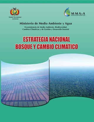 1
Estrategia Nacional de Bosque y Cambio Climático
 