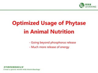 Optimized Usage of Phytase
in Animal Nutrition
- Going beyond phosphorus release
- Much more release of energy
 