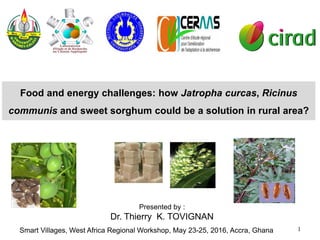 1
Food and energy challenges: how Jatropha curcas, Ricinus
communis and sweet sorghum could be a solution in rural area?
Presented by :
Dr. Thierry K. TOVIGNAN
Smart Villages, West Africa Regional Workshop, May 23-25, 2016, Accra, Ghana
 