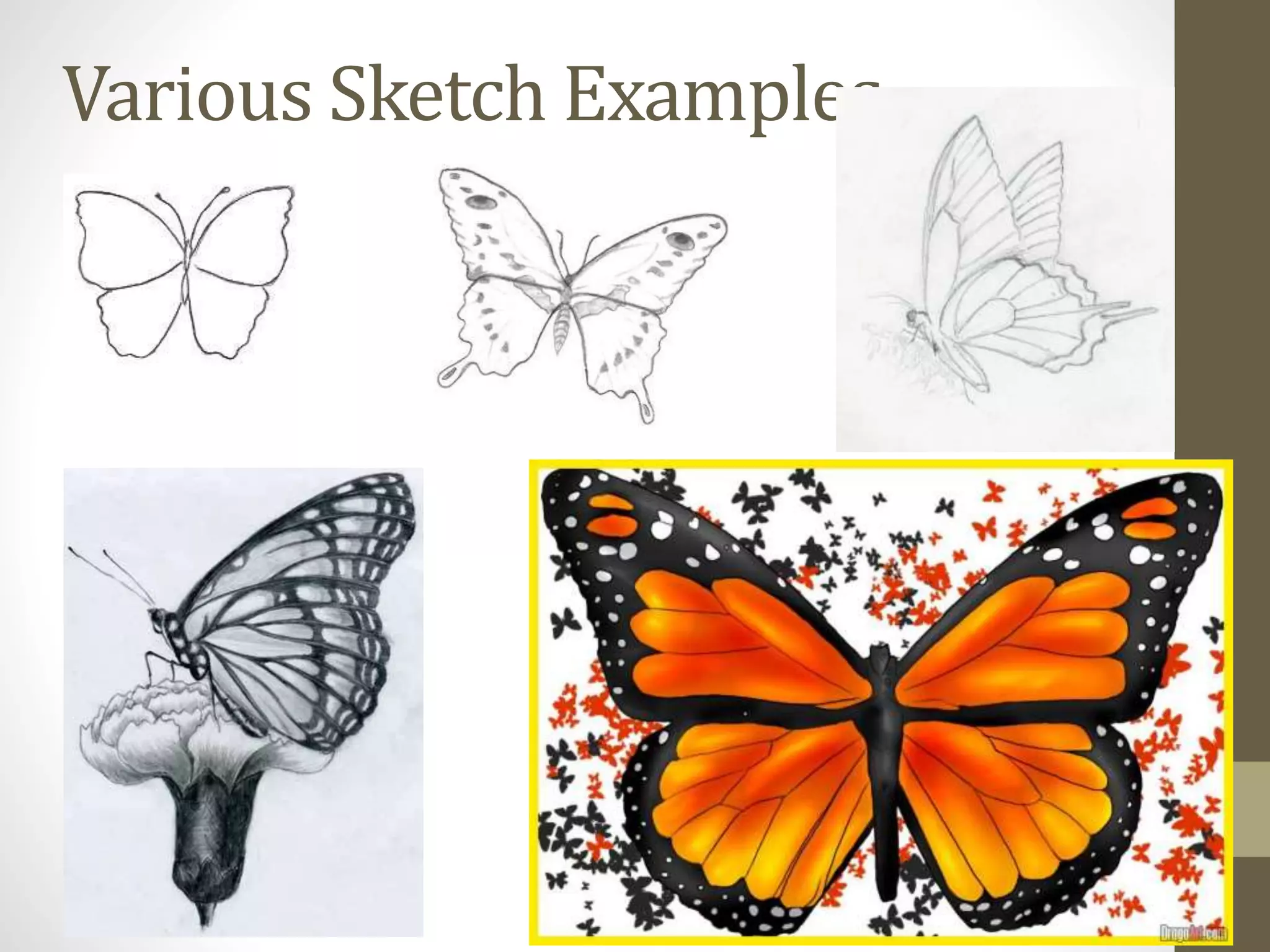 Various Sketch Examples
 