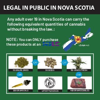 LEGAL IN PUBLIC IN NOVA SCOTIA
Any adult over 19 in Nova Scotia can carry the
following equivalent quantities of cannabis
without breaking the law.:
30 GRAMS DRIED 30 SEEDS 150 GRAMS FRESH
200 GRAMS OILS 450 GRAMS EDIBLESLIFESTYLE420.CA
NOTE: You can ONLY purchase
these products at an
 