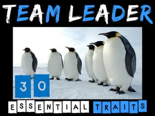 TEAM LEADER

30

ESSENTIAL TRAITS

 