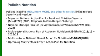 Identification, Integration, and Mainstreaming FSF into National FSN Strategy Promoting Agriculture Diversification Towards Zero Hunger: A Situation Overview and Way Forward to Empirical Research