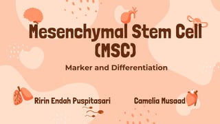 Marker and Differentiation
Mesenchymal Stem Cell
(MSC)
Ririn Endah Puspitasari Camelia Musaad
 