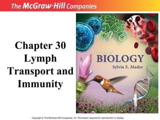 Copyright  ©  The McGraw-Hill Companies, Inc. Permission required for reproduction or display. Chapter 30 Lymph Transport and Immunity 