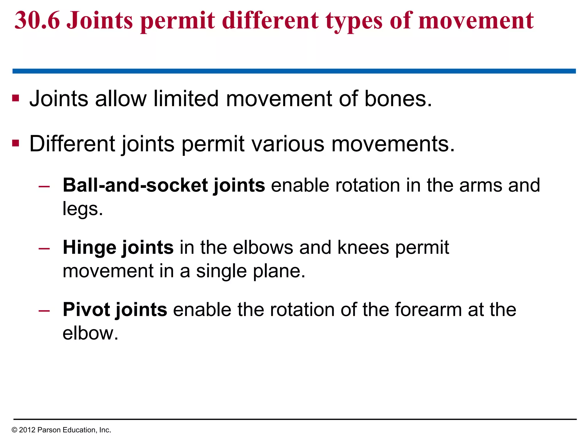 30.6 Joints permit different types of movement
 Joints allow limited movement of bones.
 Different joints permit various movements.
– Ball-and-socket joints enable rotation in the arms and
legs.
– Hinge joints in the elbows and knees permit
movement in a single plane.
– Pivot joints enable the rotation of the forearm at the
elbow.
© 2012 Parson Education, Inc.
 