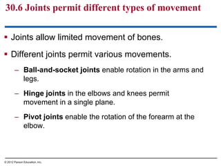 30.6 Joints permit different types of movement
 Joints allow limited movement of bones.
 Different joints permit various movements.
– Ball-and-socket joints enable rotation in the arms and
legs.
– Hinge joints in the elbows and knees permit
movement in a single plane.
– Pivot joints enable the rotation of the forearm at the
elbow.
© 2012 Parson Education, Inc.
 