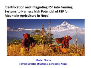 Identification and Integrating FSF into Farming
Systems to Harness high Potential of FSF for
Mountain Agriculture in Nepal
Madan Bhatta
Former Director of National Genebank, Nepal
 