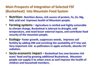 Main Prospects of Integration of Selected FSF
(Buckwheat) into Mountain Food System
• Nutrition- Nutrition dense, rich sou...