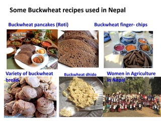 Some Buckwheat recipes used in Nepal
Buckwheat pancakes (Roti) Buckwheat finger- chips
Variety of buckwheat
bread
Buckwhea...