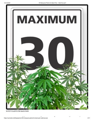 10/13/2020 30 Marijuana Plants for Back Pain - Valid Excuse?
https://cannabis.net/blog/opinion/30-marijuana-plants-for-back-pain-valid-excuse 2/11
30 POT PLANTS FOR BACK PAIN
ij l f k i
 