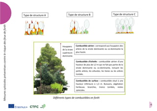 4
Mesuressylvicolespréventivescontrelerisquedesfeuxdeforêt
Type de structure BType de structure A Type de structure C
Houppiers
de la strate
supérieure
dominante
Combustible aérien : correspond aux houppiers des
arbres de la strate dominante ou co-dominante la
plus haute.
Combustible d’échelle : combustible aérien d’une
hauteur de plus de 1,3 m qui ne fait pas partie de la
strate dominante ou co-dominante, incluant les
petits arbres, les arbustes, les lianes ou les arbres
tombés.
Combustible de surface : combustible situé à une
hauteur inférieure à 1,3 m. Buissons, végétation
herbeuse, branches, troncs tombés, restes
sylvicoles.
Différents types de combustibles en forêt
 
