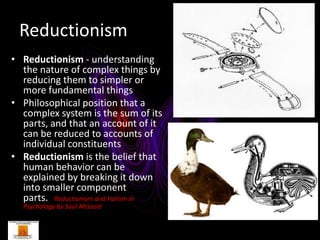 Reductionism
• Reductionism - understanding
  the nature of complex things by
  reducing them to simpler or
  more fundamental things
• Philosophical position that a
  complex system is the sum of its
  parts, and that an account of it
  can be reduced to accounts of
  individual constituents
• Reductionism is the belief that
  human behavior can be
  explained by breaking it down
  into smaller component
  parts. Reductionism and Holism in
  Psychology by Saul McLeod
 