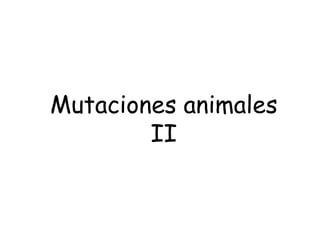 Mutaciones animales II 