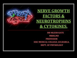 DR NILESH KATE
MBBS,MD
PROFESSOR
ESIC MEDICAL COLLEGE, GULBARGA.
DEPT. OF PHYSIOLOGY
NERVE GROWTH
FACTORS &
NEUROTROPHINS
& CYTOKINES.
 