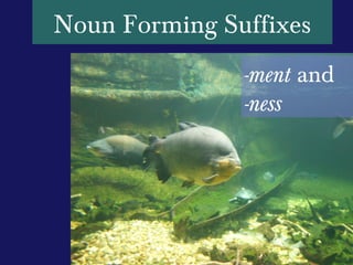 Noun Forming Suffixes
               -ment and
               -ness
 