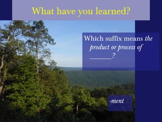 Noun Forming Suffixes -ment and -ness | PPT