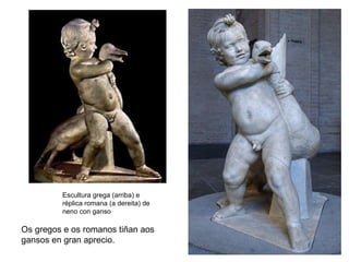 Escultura grega (arriba) e
réplica romana (a dereita) de
neno con ganso
Os gregos e os romanos tiñan aos
gansos en gran aprecio.
 