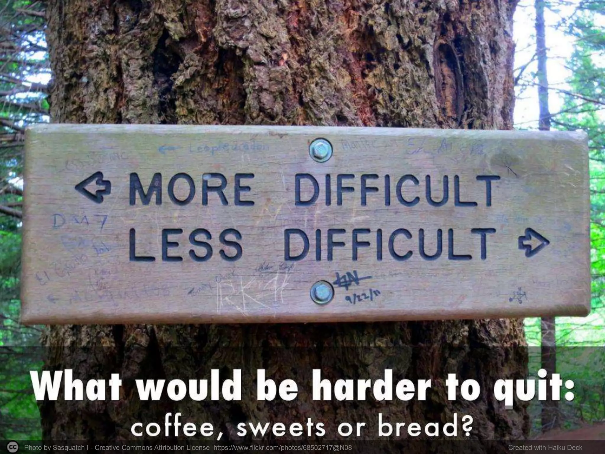 Photo by Sasquatch I - Creative Commons Attribution License https://www.flickr.com/photos/68502717@N08 Created with Haiku Deck
 