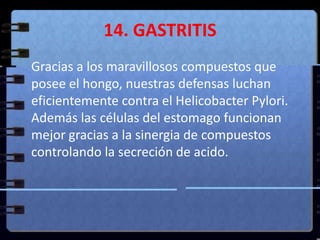 14. GASTRITIS	Gracias a los maravillosos compuestos que posee el hongo, nuestras defensas luchan eficientemente contra el Helicobacter Pylori. Además las células del estomago funcionan mejor gracias a la sinergia de compuestos controlando la secreción de acido.