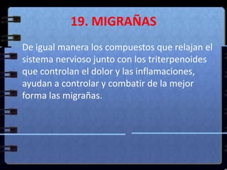 19. MIGRAÑAS	De igual manera los compuestos que relajan el sistema nervioso junto con los triterpenoides que controlan el dolor y las inflamaciones, ayudan a controlar y combatir de la mejor forma las migrañas.