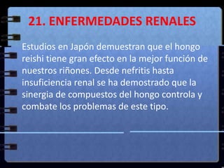 21. ENFERMEDADES RENALES	Estudios en Japón demuestran que el hongo reishi tiene gran efecto en la mejor función de nuestros riñones. Desde nefritis hasta insuficiencia renal se ha demostrado que la sinergia de compuestos del hongo controla y combate los problemas de este tipo. 
