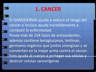1. CANCEREl GANODERMA ayuda a reducir el riesgo del cáncer e incluso ayuda increíblemente a combatir la enfermedad. Posee más de 154 tipos de antioxidantes , además contiene betaglucanos, lentinan, germanio orgánico que juntos sinergizan y se convierten en la mejor arma contra el cáncer. Esto ayuda al cuerpo a proteger sus células y destruir celulas cancerígenas