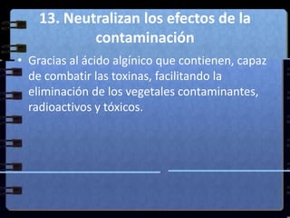 13. Neutralizan los efectos de la contaminación<br />Gracias al ácido algínico que contienen, capaz de combatir las toxina...
