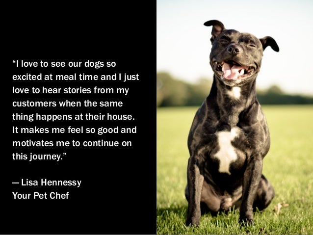 “I love to see our dogs so
excited at meal time and I just
love to hear stories from my
customers when the same
thing happ...