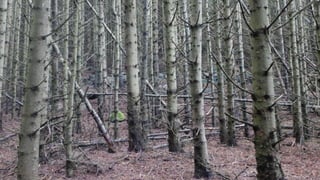 30 år i paradis - skåding på Utsira