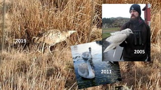 2011
2005
2019
 