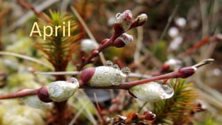 April
 