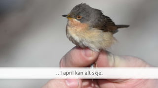 .. I april kan alt skje.
 