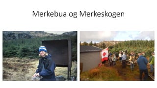 Merkebua og Merkeskogen
 