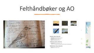 Felthåndbøker og AO
 
