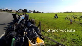 Strandryddeuka
 