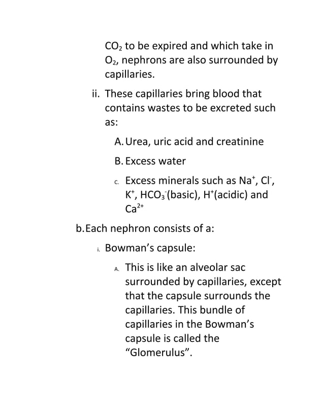 BIO30S 3 4 1 Explain Processes Of Filtration Reabsorption And Secretion