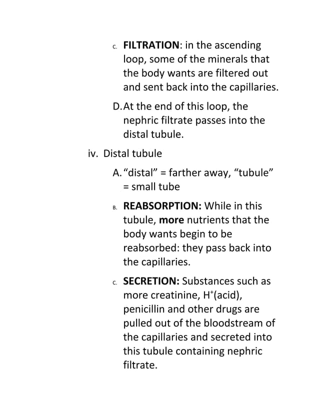 BIO30S 3 4 1 Explain Processes Of Filtration Reabsorption And Secretion